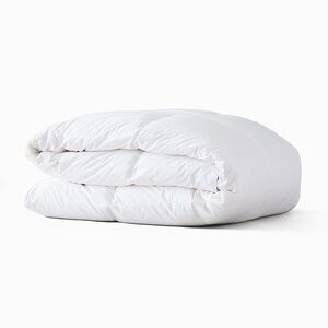 NWT West Elm 650 fill Goose Down Comforter / Duvet (backordered at west elm)